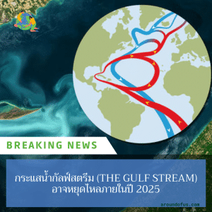 The Gulf Stream